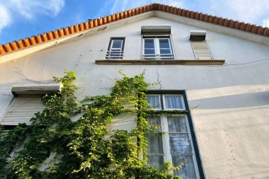 Duvarında yeşil sarmaşık olan eski bir ev. Portekiz, Algarve