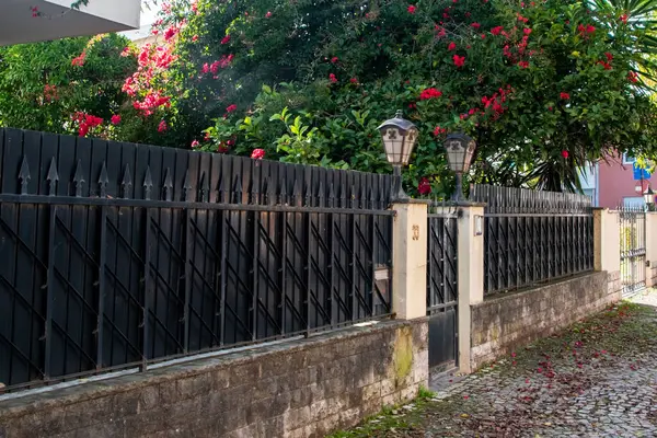 Önünde çiçekler olan eski siyah demir çitler..