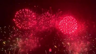 Siyah gökyüzü arka planında renkli havai fişekler