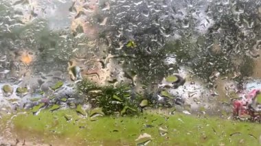 Yağmur damlalı ıslak pencereler. Arkaplan ve görünüm