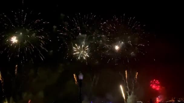 Kleurrijk Feest Vuurwerk Een Zwarte Lucht Achtergrond — Stockvideo