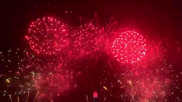 Fuochi Artificio Celebrazione Colorati Uno Sfondo Cielo Nero — Video Stock