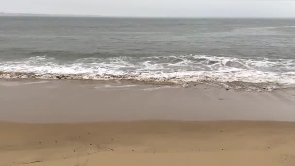 Waves Ocean Panoramic View Sandy Beach — Stock Video