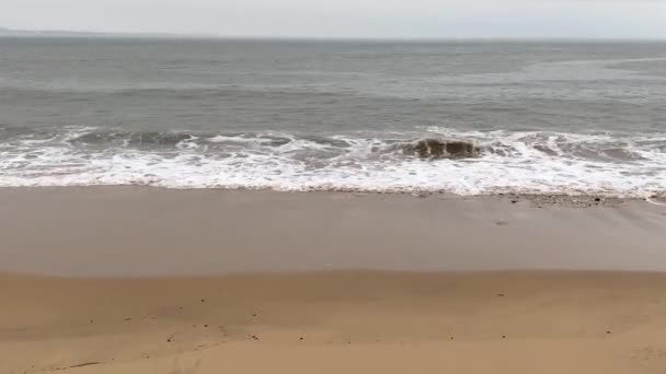 Хвилі Океані Панорамний Вид Піщаний Пляж — стокове відео