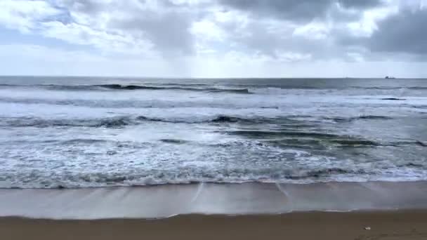 Waves Ocean Panoramic View — Stock Video