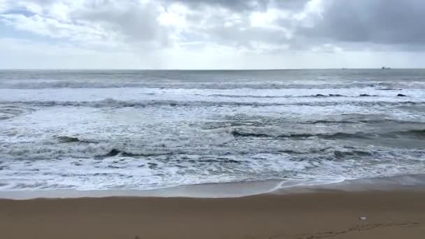 Waves Ocean Panoramic View — Stock Video