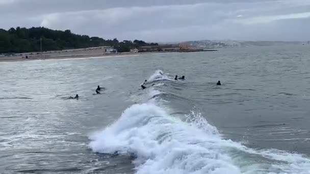 波で海にサーファー — ストック動画