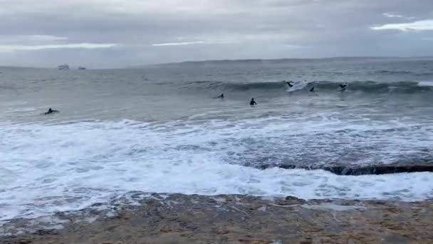 Surfisti Mare Con Onde — Video Stock