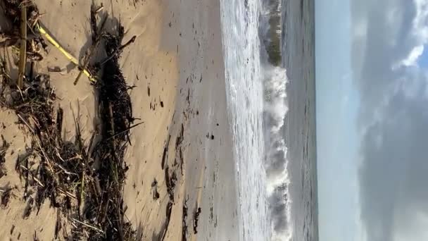 Empty Wild Sandy Beach Atlantic Ocean Seascape Sea Waves Beautiful — Stock Video