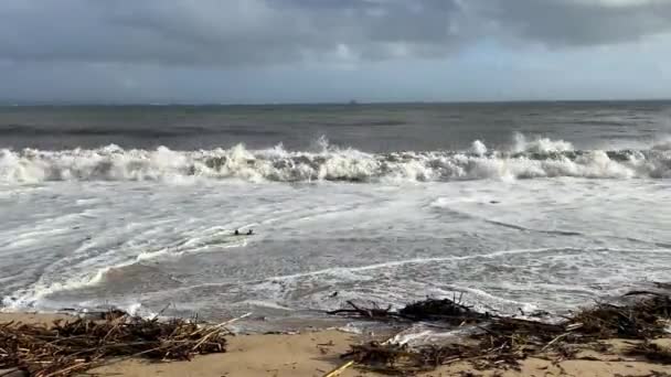 Una Playa Arena Salvaje Vacía Paisaje Marino Del Océano Atlántico — Vídeo de stock