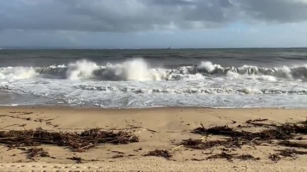 空の野生の砂浜 大西洋海岸 海の波 美しい雲景 劇的な風景 旅行の内容 リスボン ポルトガル ロイヤリティフリーのストック動画