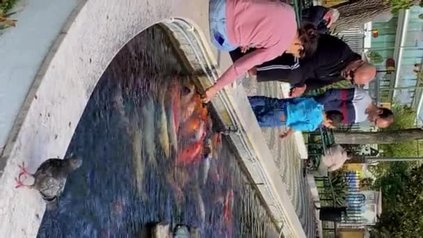 人们在喷泉里喂鲤鱼 葡萄牙里斯本 2023年11月12日 — 图库视频影像