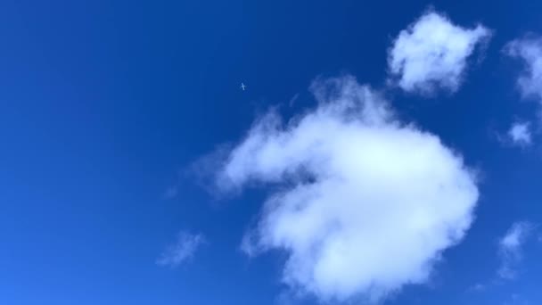 Avión Volando Sobre Las Nubes — Vídeos de Stock