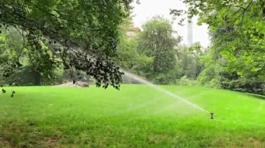 Otomatik çimen fıskiyesi yeşil çimlere su serper.
