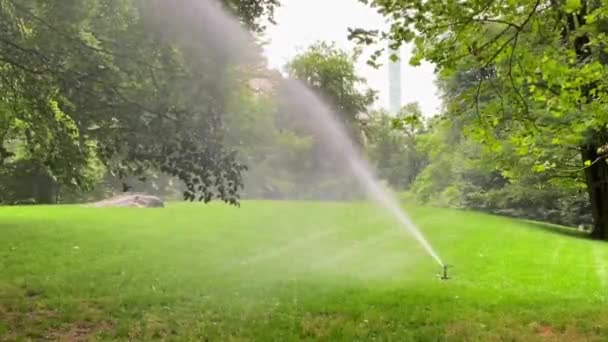 Irrigatore Automatico Spruzza Acqua Sul Prato Verde — Video Stock