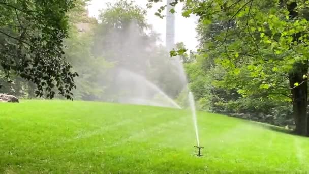 Irrigatore Automatico Spruzza Acqua Sul Prato Verde — Video Stock