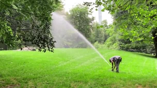 Automatische Lawn Sprinkler Besprenkelt Water Het Groene Gazon — Stockvideo
