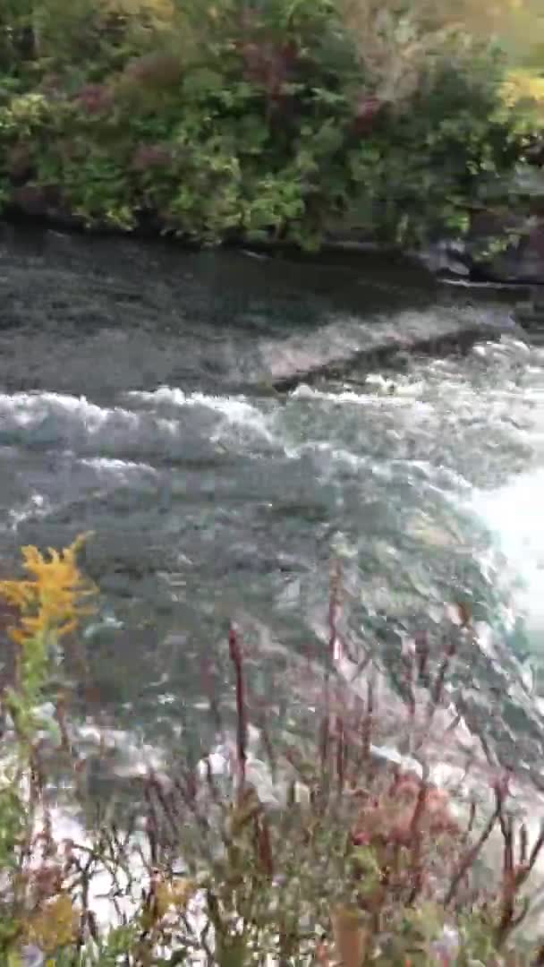 Cataratas Del Niágara Río Niágara Nueva York — Vídeos de Stock