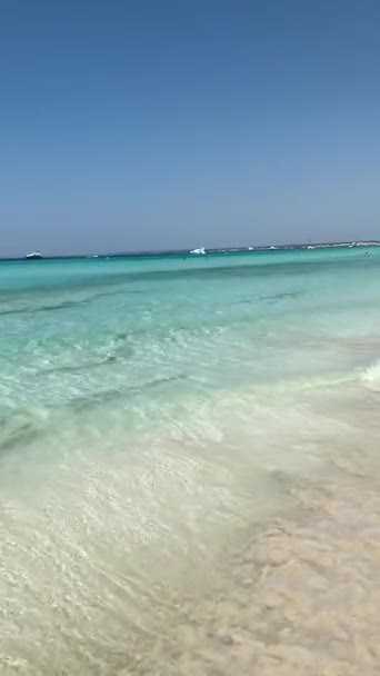 海浪冲刷着海岸 清澈的蓝水和洁白的沙滩 旅游心满意足 垂直的视频 — 图库视频影像
