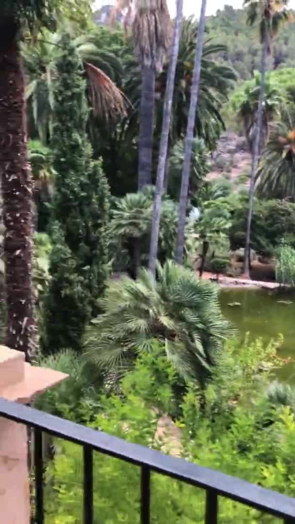 コロニアルスタイルのヴィラのバルコニーから緑の池を持つ熱帯庭園の眺め — ストック動画