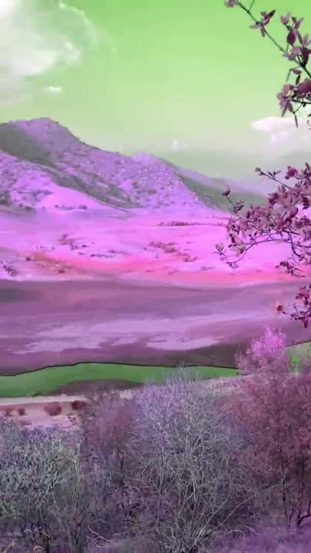 カリフォルニアの丘の背景 渓谷の山と川の景色 自然の風景 丘や平原での野生生物 — ストック動画