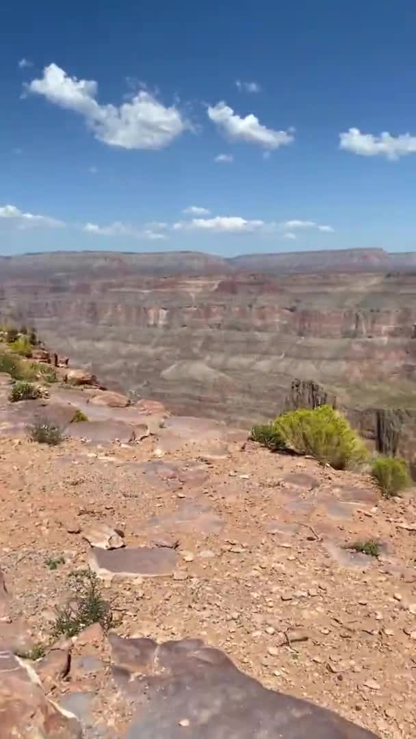 Grand Canyon Bergen Struiken Amerikaanse Nationale Parken Wildlife Landschap — Stockvideo