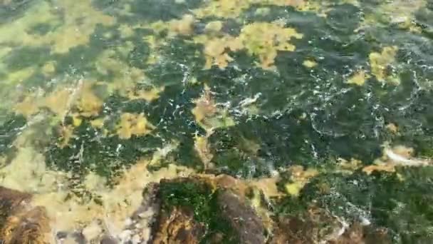 Crash Des Vagues Mer Sur Les Rochers Paysage Océan Atlantique — Video