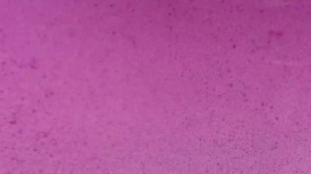 Élénk Rózsaszín Hab Mosógép Dob Elvont Folyékony Háttér Fukszia Buborékok — Stock videók