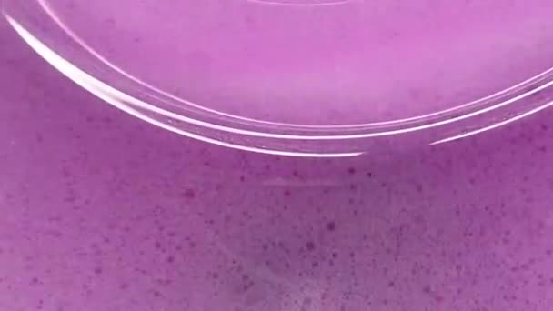 Lyse Lyserøde Skum Vaskemaskinen Tromle Abstrakt Flydende Baggrund Fuchsia Bobler – Stock-video