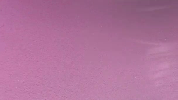 Mousse Rose Vif Dans Tambour Machine Laver Fond Liquide Abstrait — Video