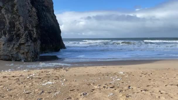 Empty Wild Sandy Beach Atlantic Ocean Seascape Sea Waves Beautiful — Stock Video