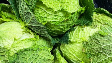 Arka plan olarak taze savoy lahanası. Resmi kapat.