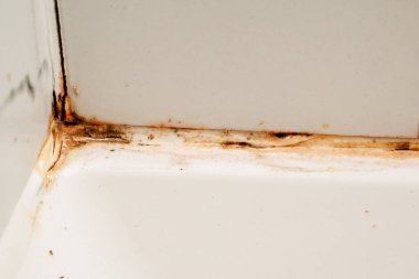 Banyodaki kirli köşe, temizlik konsepti, küf ile duştaki fayanslar arasındaki paslı eklem.