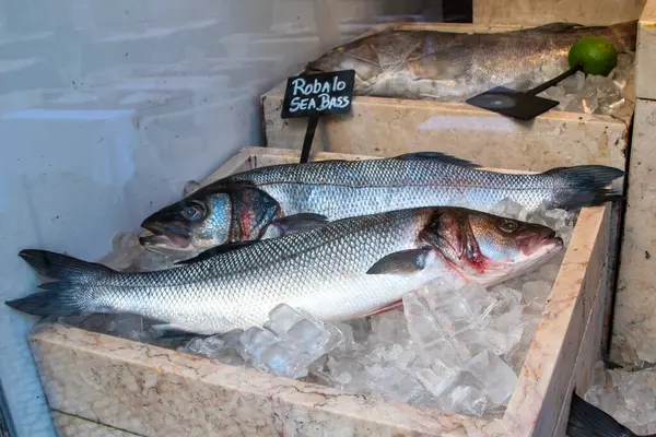 Seabass fish on ice at a fish market in Barcelona, Spain