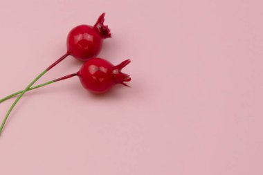 Renkli dekoratif böğürtlen dokusu kopyalama alanı, metin yeri olan arkaplan