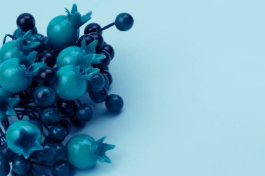 Renkli dekoratif böğürtlen dokusu kopyalama alanı, metin yeri olan arkaplan