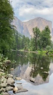 Yosemite Ulusal Parkı, Kaliforniya Dağları, Doğal Manzara, ABD Ulusal Parkları Vahşi Yaşam