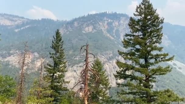 Yosemite Εθνικό Πάρκο Καλιφόρνια Βουνά Φόντο Θέα Του Φυσικού Τοπίου — Αρχείο Βίντεο