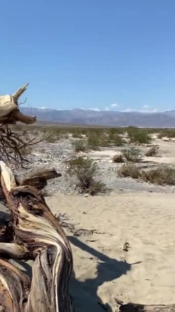 死亡谷 加利福尼亚山脉和沙漠背景 美国国家公园景观 — 图库视频影像