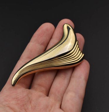 Siyah arka planda altın broş. Mücevher aksesuarları.