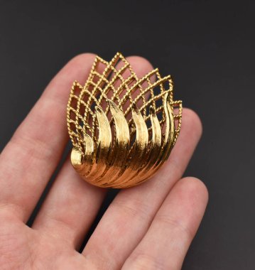 Siyah bir zemin üzerinde altın bir broş tutarken fotokopi alanı vardı.