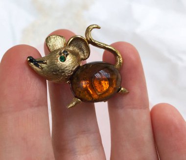 Eski broş arka planı, kadınlar için eski aksan eski takılar.