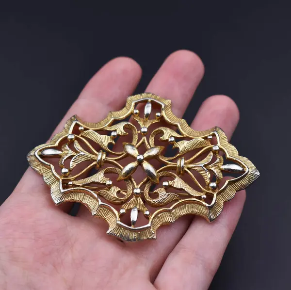 Elinde altın bir broş var. Arka planda fotokopi alanı var.