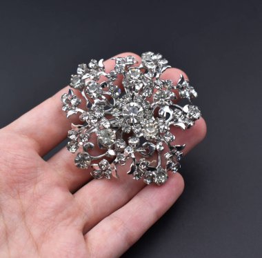 Koyu arkaplanda elmaslı gümüş bir broş tutuyor..