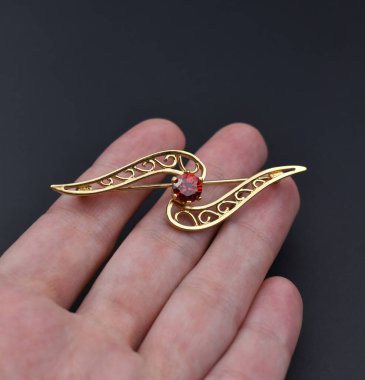 Elinde kırmızı yakut olan altın broş siyah arka planda