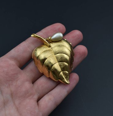 Eldeki altın yaprak siyah arka planda izole edilmiş. Bir ağacın altın yaprağı.