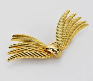 Beyaz arka planda izole edilmiş altın dekoratif broş. Lüks mücevherler..