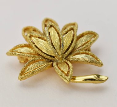 Beyaz arka planda izole edilmiş altın broş. Stüdyo çekimi.