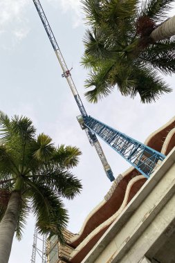 Mavi gökyüzü ve palmiye ağaçlarının arka planında turna