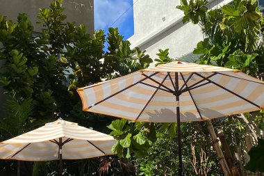 Plaj şemsiyeleri Tropiklerde güneşli bir günde